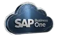הלוגו של SAP Business One מוצג על גבי גרפיקה של ענן בצבע כחול מטאלי, המסמלת פתרונות תוכנה מבוססי ענן.